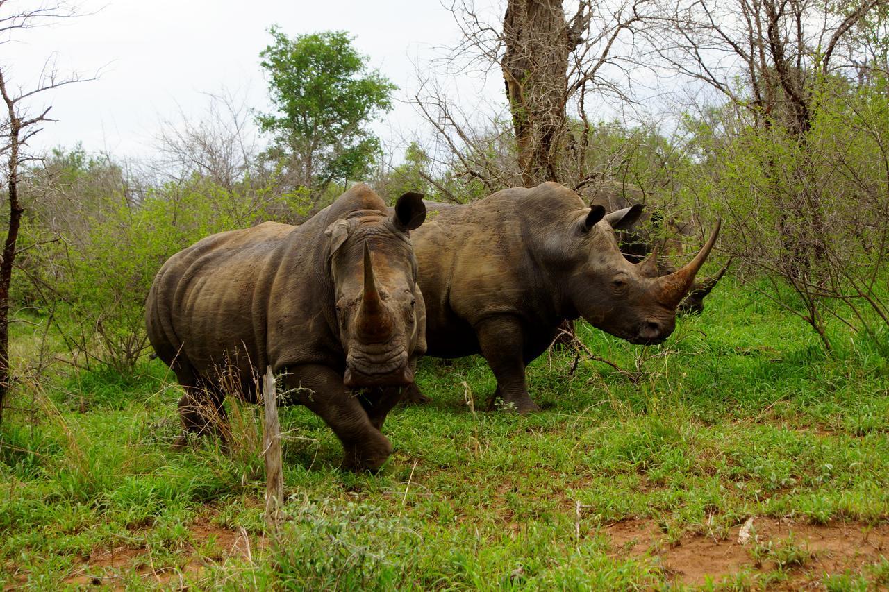 Marloth Park Hippo House Villa Buitenkant foto